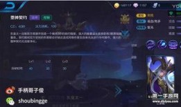 王者爆料壮哥视频下载,独家揭秘游戏内幕与精彩瞬间