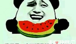 娱乐吃瓜梗,吃瓜群众必备的瓜田秘闻